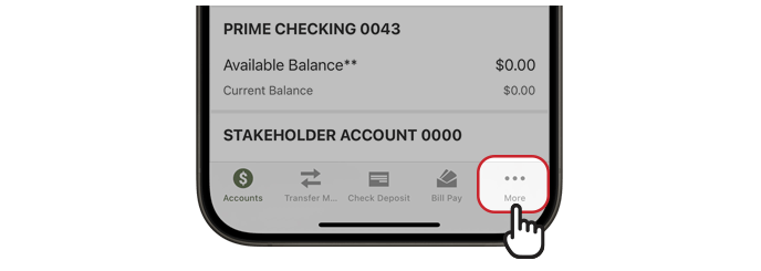 mobile banking e-statement access