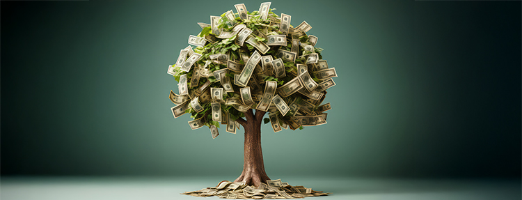 Money tree with dollars instead of leaves.