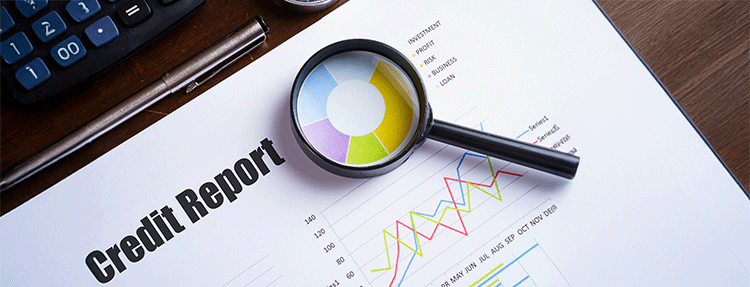 credit report