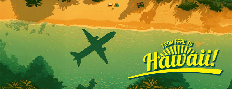 Illustration of a plane's shadow flying over a Hawaiian beach